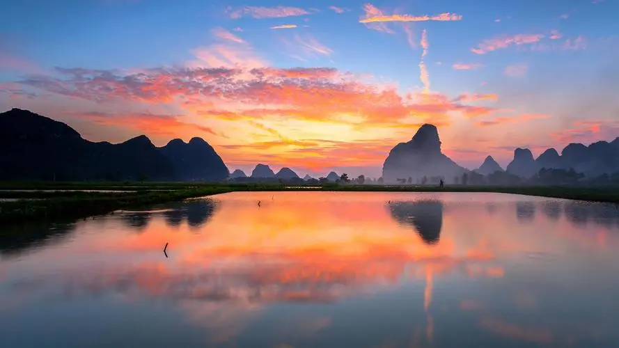 高端高端